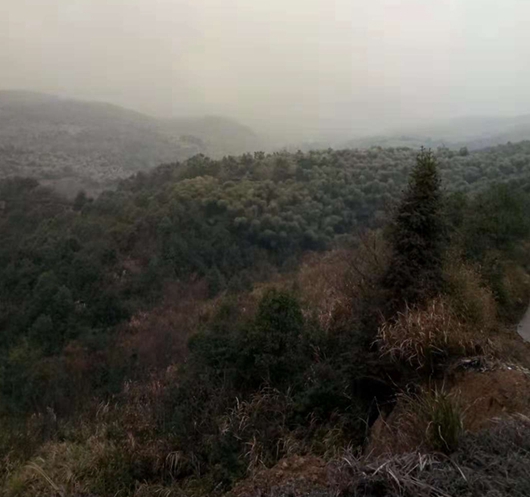 有故鄉者擁有幸福 ，你在他鄉還好嗎？(圖2)